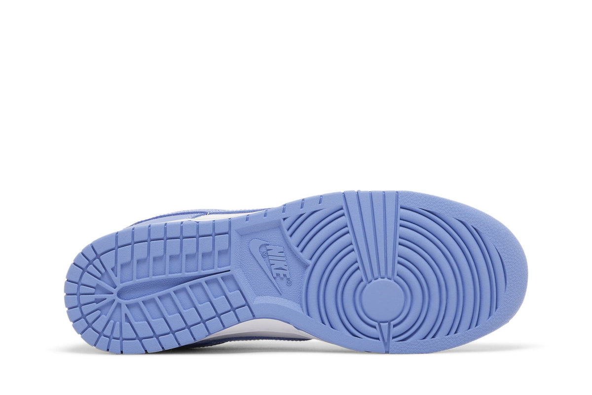 Nike Dunk Low Polar Blue sneaker afbeelding 4 - stylecode DV0833-400