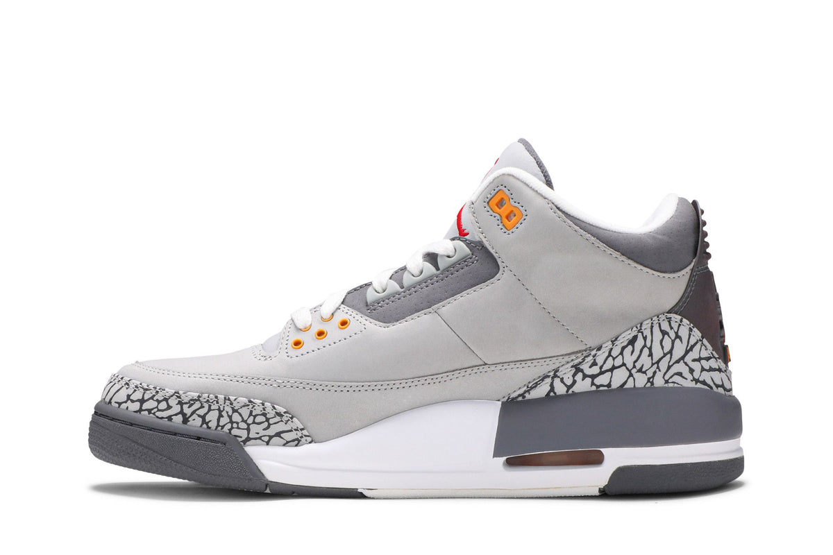 Jordan 3 Retro Cool Grey (2007) sneaker afbeelding 3 - stylecode 315297-062