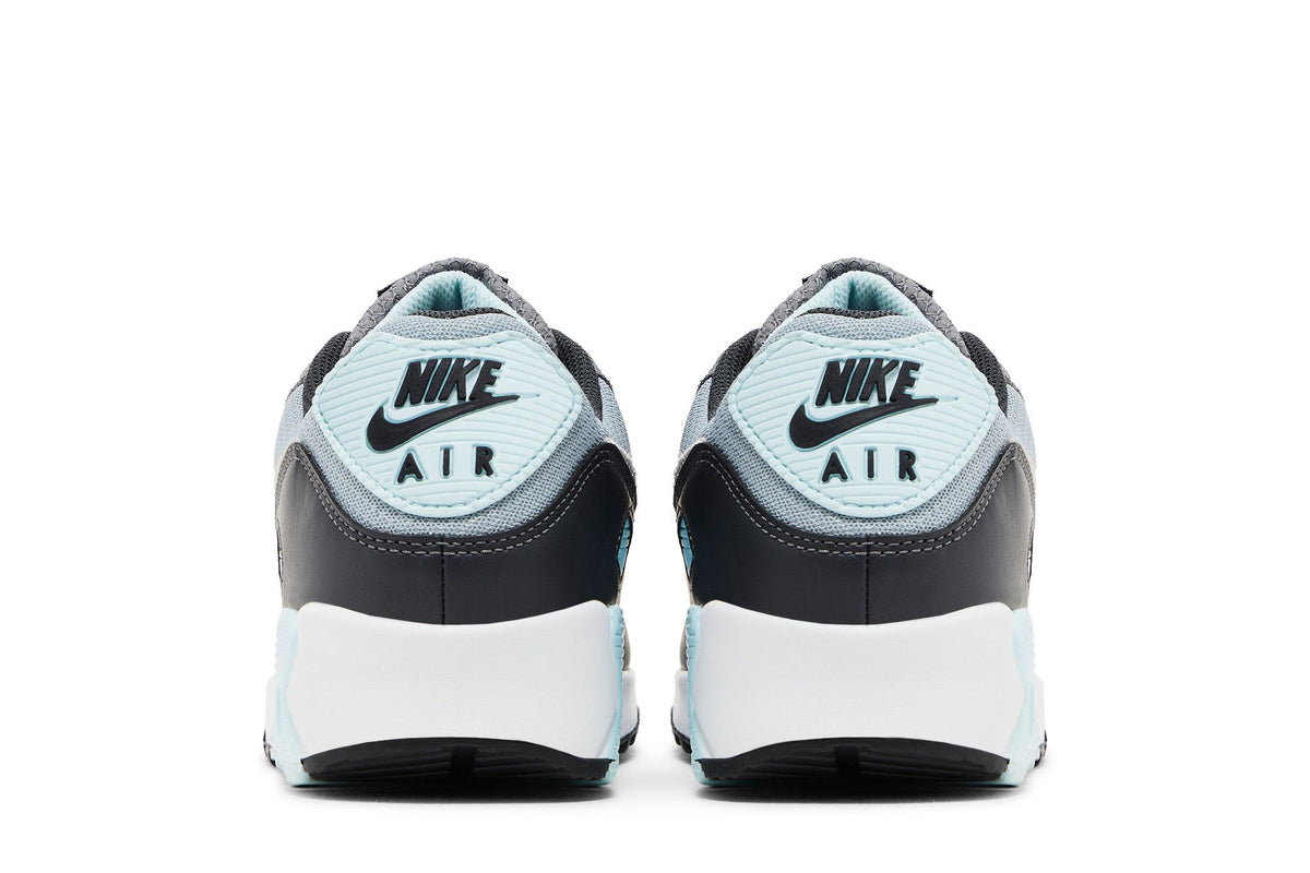 Nike Air Max 90 Light Pumice Smoke Grey sneaker afbeelding 6 - stylecode DM0029-009