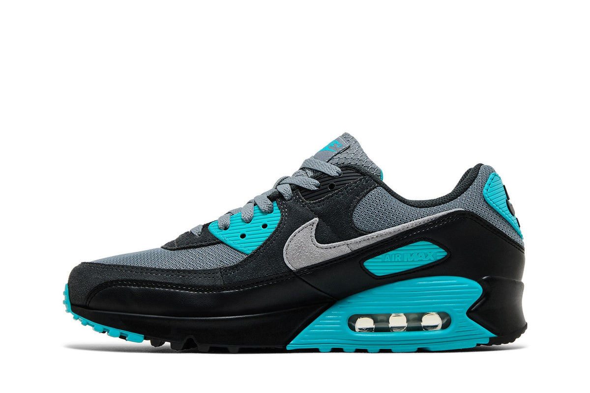 Nike Air Max 90 Cool Grey Dusty Cactus Black Wolf Grey sneaker afbeelding 3 - stylecode DM0029-013