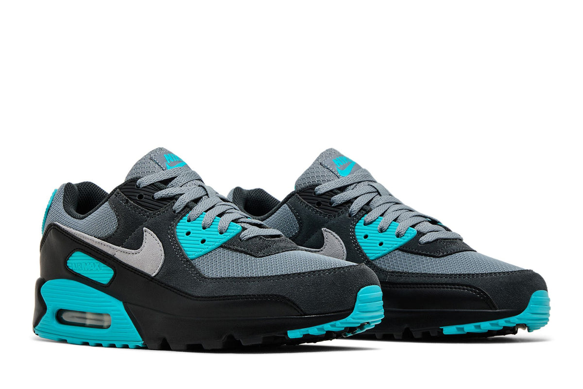 Nike Air Max 90 Cool Grey Dusty Cactus Black Wolf Grey sneaker afbeelding 8 - stylecode DM0029-013