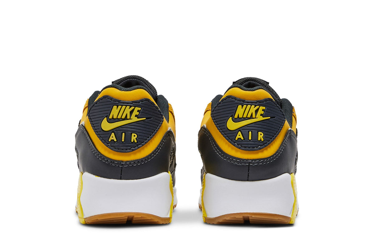 Nike Air Max 90 Go The Extra Smile sneaker afbeelding 6 - stylecode DO5848-700