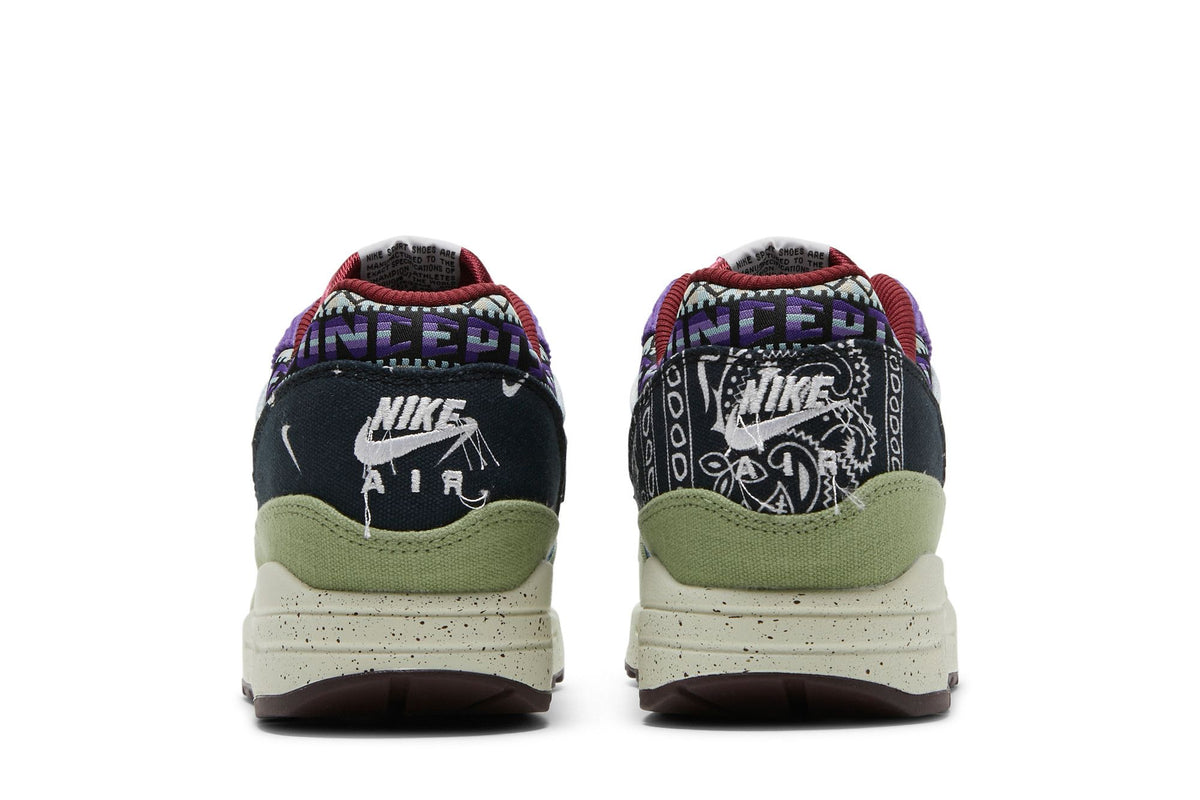 Nike Air Max 1 SP Concepts Mellow sneaker afbeelding 6 - stylecode DN1803-300